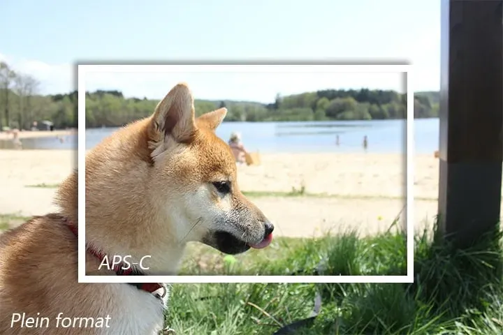 aps c et plein format