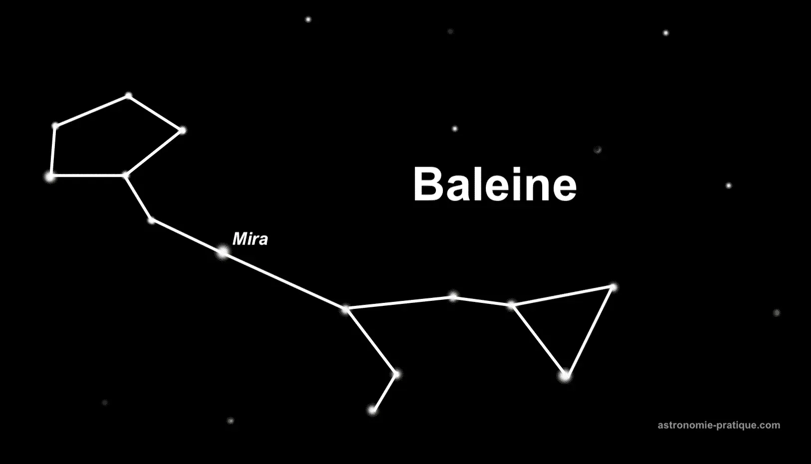 constellation de la baleine